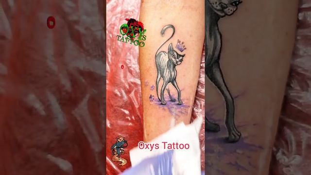 Cat tattoo on arm. Tattoo for woman #Shorts смотреть онлайн