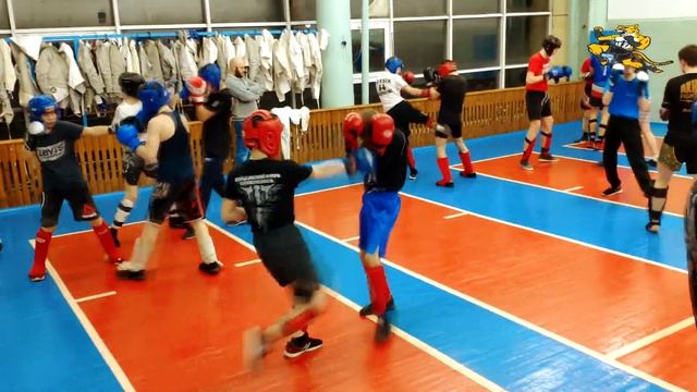 Кикбоксинг. К1. Совместная тренировка 08.02.2020