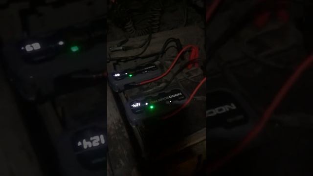 Прикурить Рено Магнум в СПб смотреть онлайн