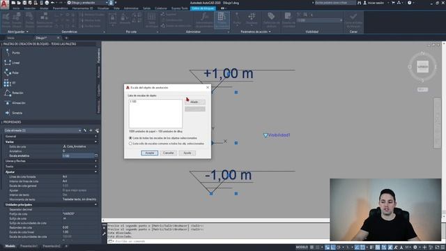COTAS DE NIVEL AUTOMÁTICAS en AutoCAD ✅ Bloque Dinámico de Cota de Altura + SORPRESA ? смотреть онлайн