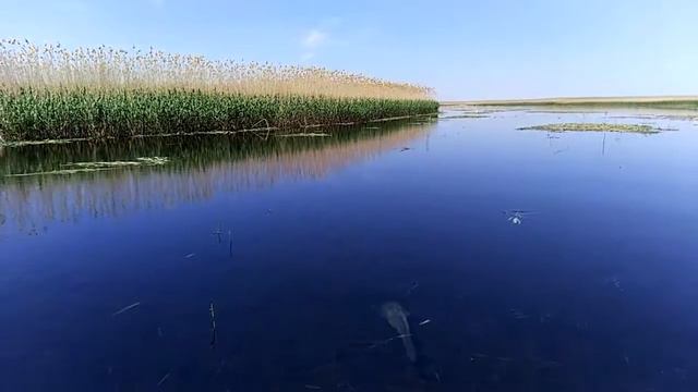 Первозданная Россия смотреть онлайн