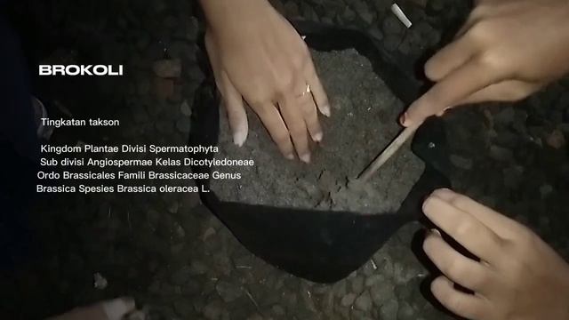 ujian praktik IPA | Priska9ASASAKA | смотреть онлайн