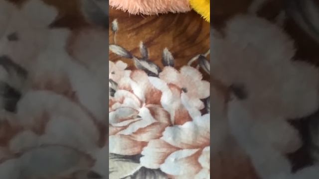 Кошка нагло спит в хозяйской кровати смотреть онлайн