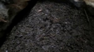 Червь "Старатель". 1000000 "Старателей" за зиму в подвале 5.