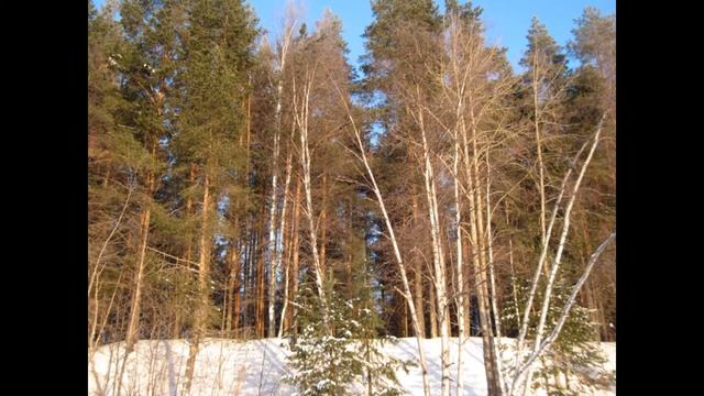 Зимний отпуск в Карелии 2011г. смотреть онлайн