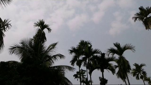 Comment Box Git/Christmas Song: смотреть онлайн