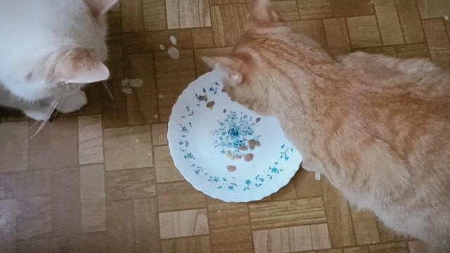 VID_20230404_091924.mp4 смотреть онлайн