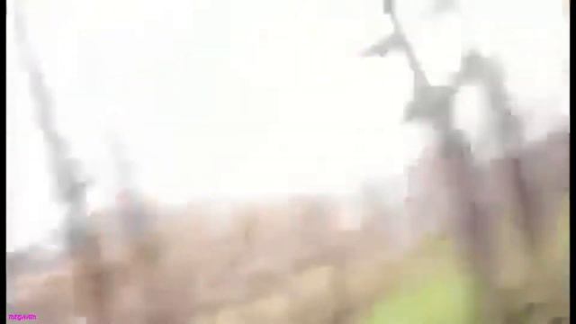 Ээй! Что это у тебя? камера А я думала СОВА!!! УГАР,,, смотреть онлайн