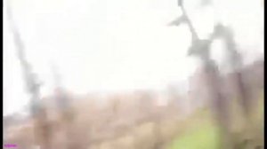 Ээй! Что это у тебя? камера А я думала СОВА!!!  УГАР,,,