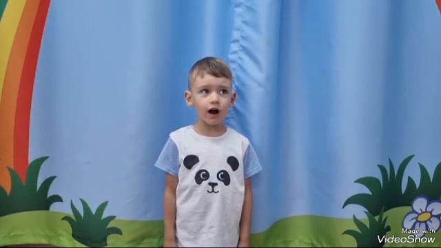 Стихотворения ко дню флага России группа "Светофорики" смотреть онлайн