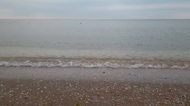 ПОЧЕМУ ЖЕНЩИНЫ НЕ БОЯТСЯ ЗАДЕТЬ ЧУВСТВА МУЖЧИН, ОСКОРБИТЬ И ДАЖЕ СДЕЛАТЬ БОЛЬНО В ОТНОШЕНИЯХ? смотреть онлайн