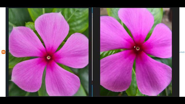 Xiaomi 14 Ultra vs Vivo X100 Pro Camera Test - Damm GooD ! смотреть онлайн