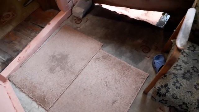 Заготовка семян укропа в непогоду смотреть онлайн