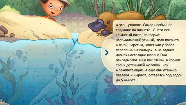 Животные Австралии смотреть онлайн