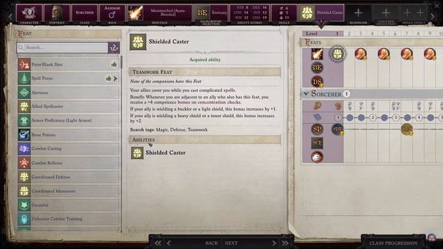 Pathfinder Wrath of the Righteous - High Damage Sorcerer - Class Build Guide смотреть онлайн