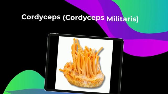 Mushroom Minute - Cordyceps Militaris смотреть онлайн