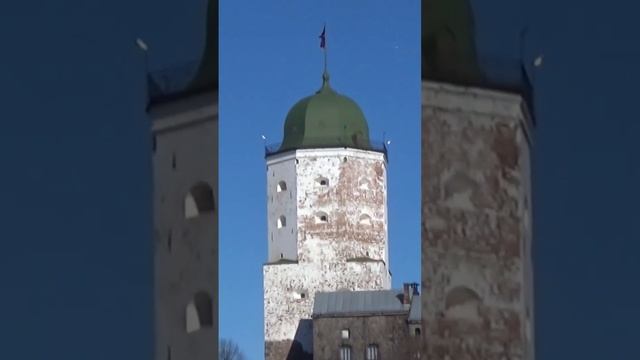 Выборг , башня святого Олафа #выборг #путешествия #Россия смотреть онлайн
