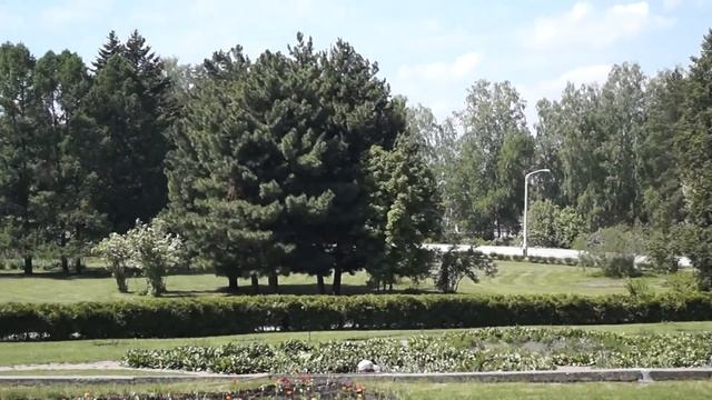 ✅В Ботаническом саду. Кукушка кукует. смотреть онлайн