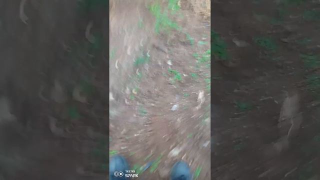 полез куда нельзя