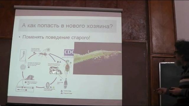 Паразитические черви и человек 720p смотреть онлайн