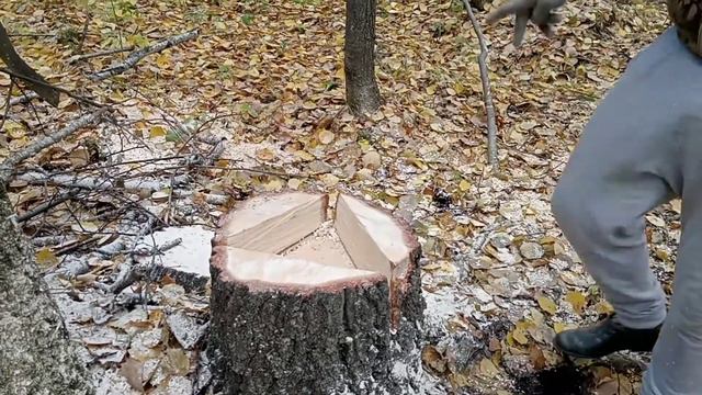 Как сделать универсальный солонец