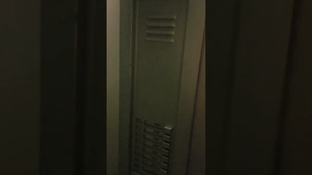 Crazy pizza delivery смотреть онлайн