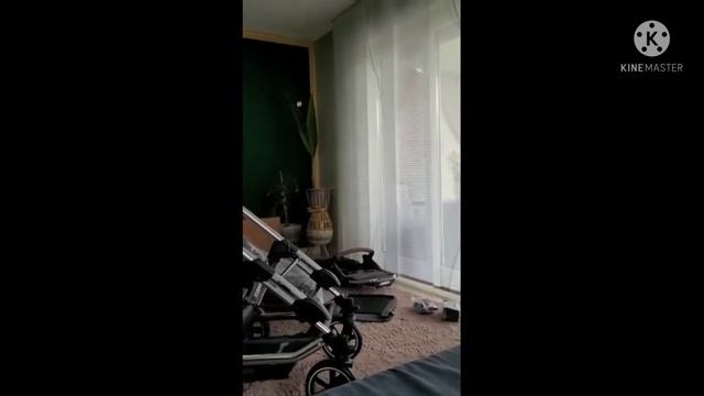 ABC Design Turbo 4T обзор коляски смотреть онлайн