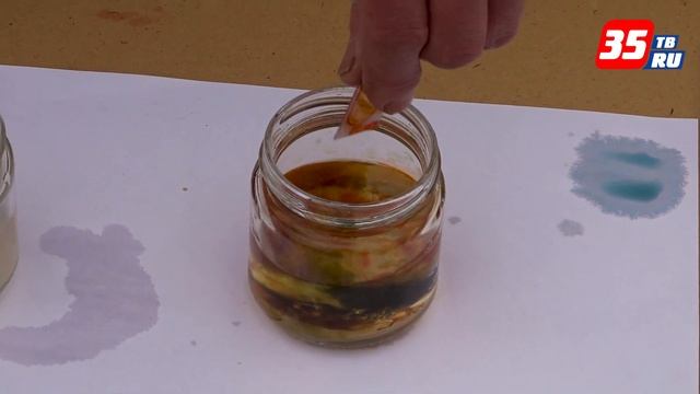 Как определить кислотность почвы смотреть онлайн