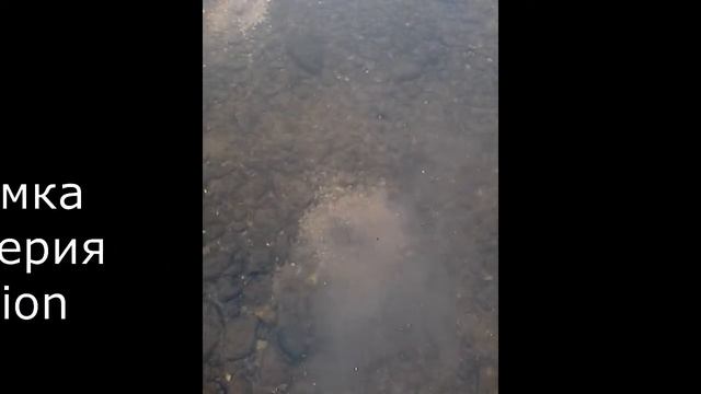прикормка Алвега смотреть онлайн