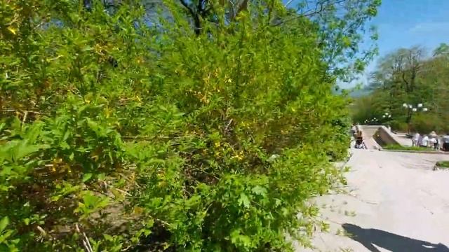 Железноводск  или Алания.  Моё мнение о городе  Железноводск