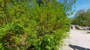 Железноводск  или Алания.  Моё мнение о городе  Железноводск