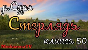 Русская Рыбалка 4 Где Клюет река Сура Стерлядь 12 12