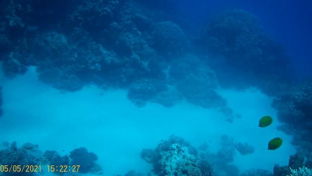 DAHAB MAY2021 ISLANDS смотреть онлайн