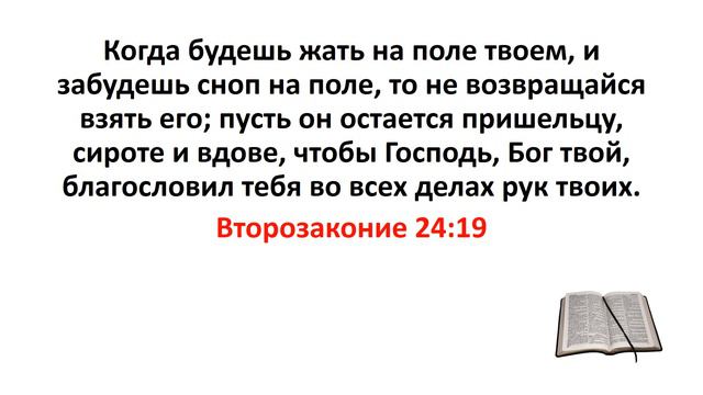 Библия, Ветхий Завет. Второзаконие 24:19 смотреть онлайн