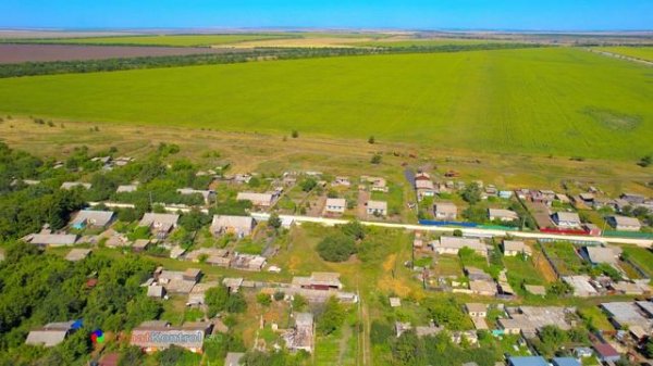 Воспоминания о лете