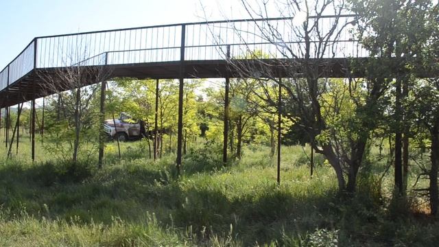 Сафари в Крыму смотреть онлайн