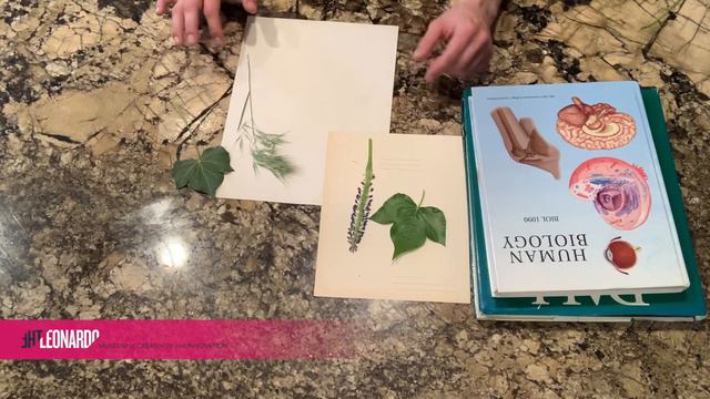 Leo at Home: Botany in Your Backyard! смотреть онлайн