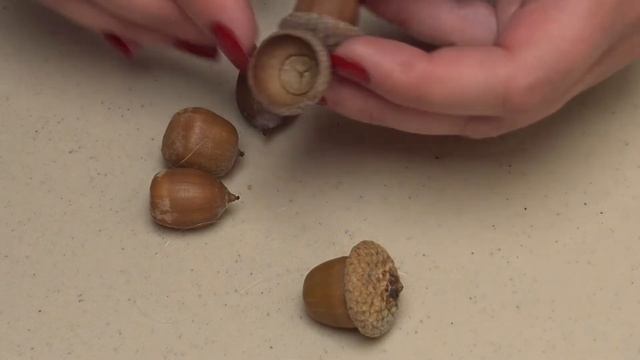 DIY Xmas decor Christmas / Яркий декор из шишек в рамке на стену смотреть онлайн