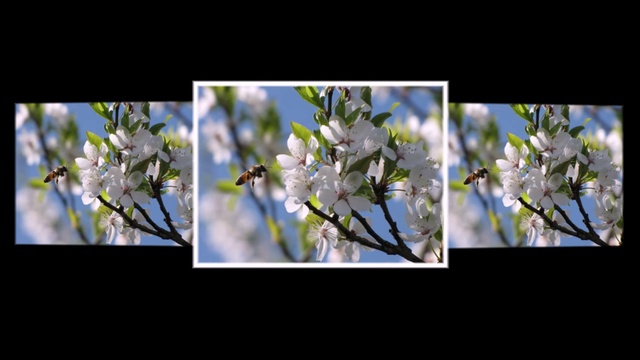 ВЕСЕННЕЕ ПРОБУЖДЕНИЕ