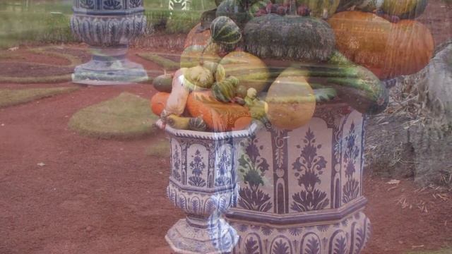 Праздник тыквы Петергоф смотреть онлайн