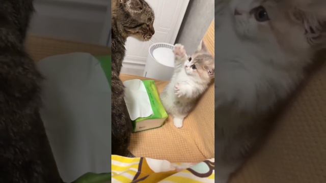 Маленький кусь смотреть онлайн