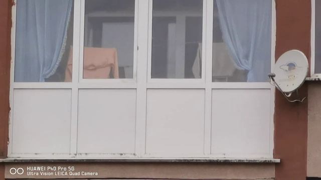 Лучшая камера которая может снимать так) ? смотреть онлайн