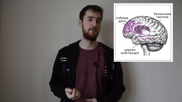 Физиология движения и болезнь Паркинсона смотреть онлайн