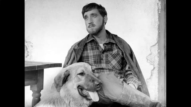 Владимир Высоцкий Я не люблю смотреть онлайн