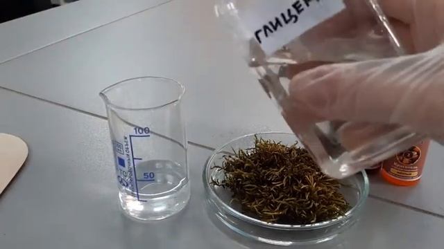 Мастер класс 'Декор из стабилизированного мха' смотреть онлайн