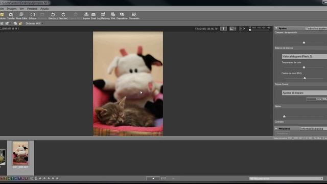 ViewNX 2 - Convertir de NEF a JPG [Instalador][x32/x64][Mega/Mediafire] смотреть онлайн