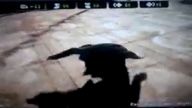 Skate 2 - Ragdoll toss [Low-Res] смотреть онлайн