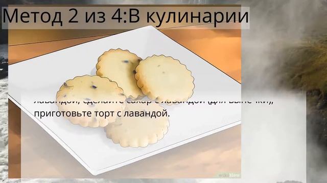 Как использовать лаванду смотреть онлайн