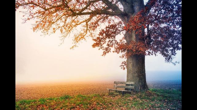 Antistres,Расслабляющая музыка чтобы успокоить мысли,Meditation Relaxation