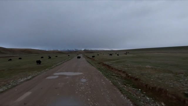 Kyrgyzstan! This Is Why We Miss Kyrgyzstan ❤